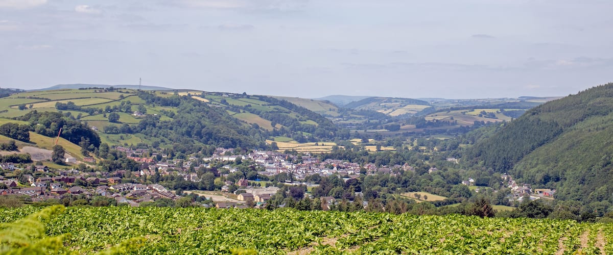 A town nestled in rolling hills with vineyards in the foreground.