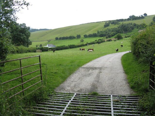 No gate required Cattle graze in a field underneath Storling Bank, kept in by the obvious grid.