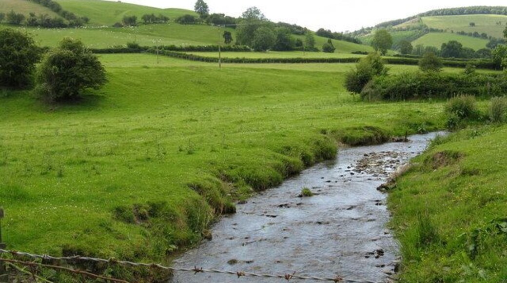 Brook above Dol-llugan Somewhat disconcertingly, the brook is noticeably higher than the roads from Bleddfa and Dol-llugan, necessitating a particularly humped bridge on the narrow lane to Nant-y-corddi.