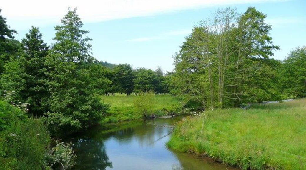 Upstream from Stowe Bridge - summer view Radnorshire/Powys to the left, south, and Shropshire to the right, north.