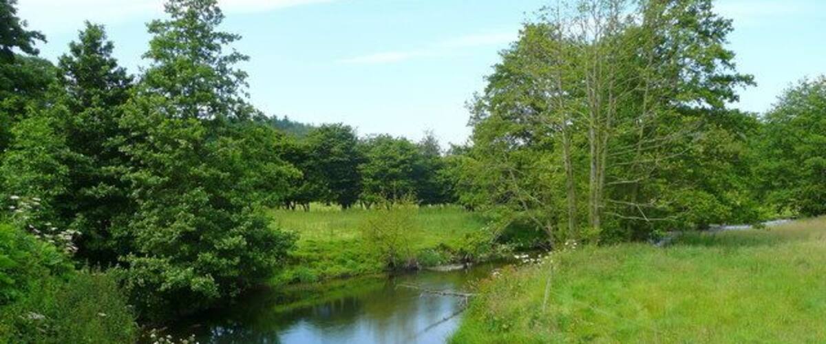A calm river surrounded by lush greenery and trees.