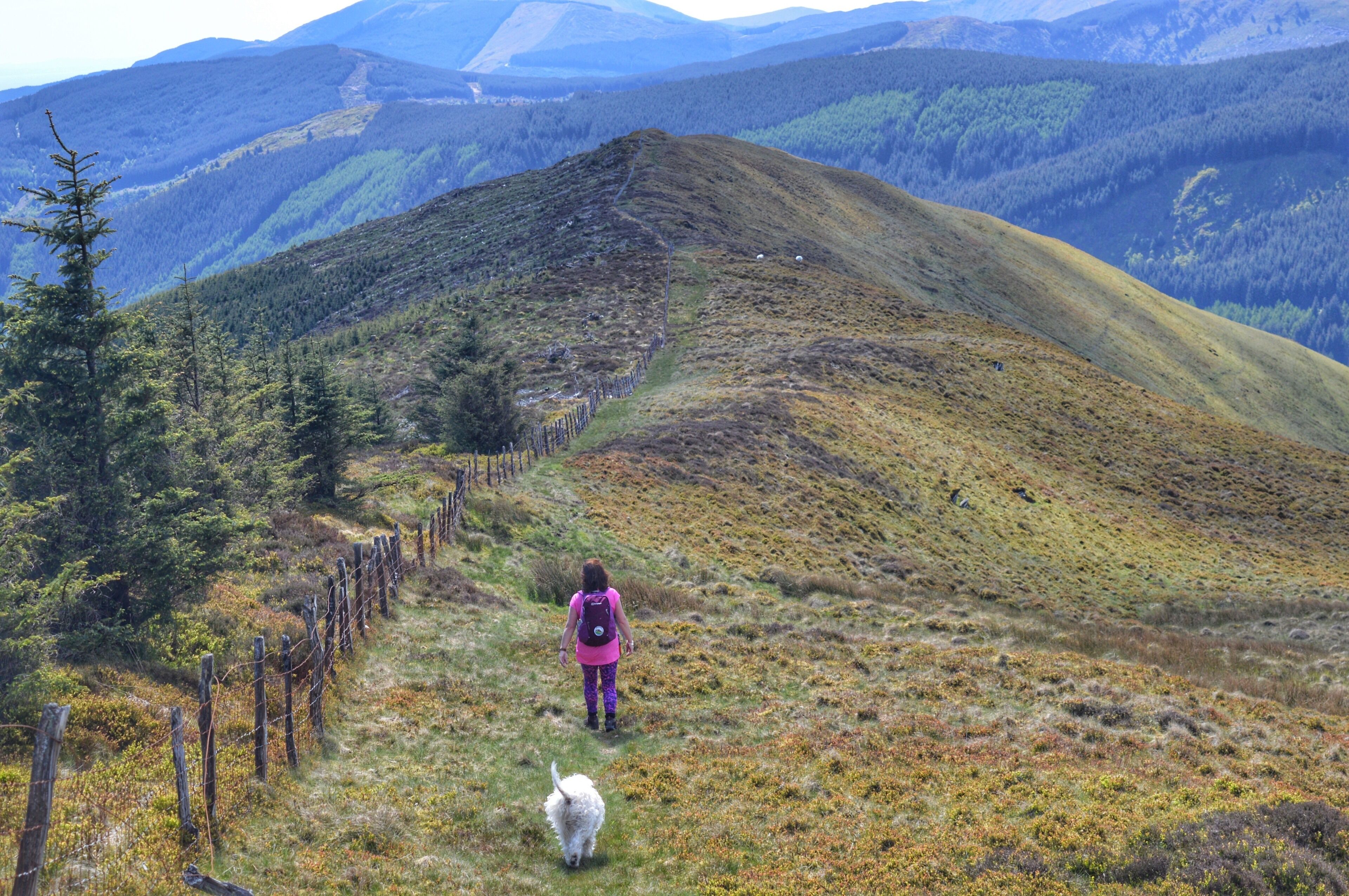 Only 3 miles to go on our 11 mile hike🥾🥾🥾🏴󠁧󠁢󠁷󠁬󠁳󠁿🏔🎒🐾