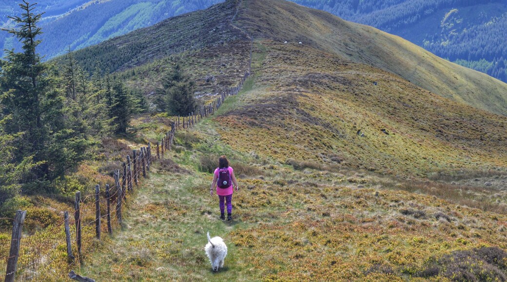 Only 3 miles to go on our 11 mile hike🥾🥾🥾🏴🏔🎒🐾