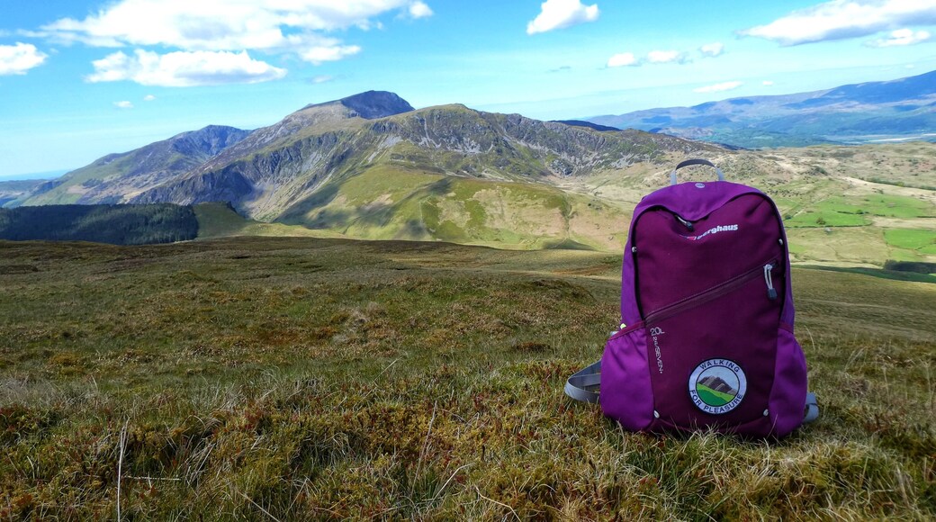 Stunning views looking towards Cadair Idris in Snowdonia National Park 🏔🏴🐾🎒