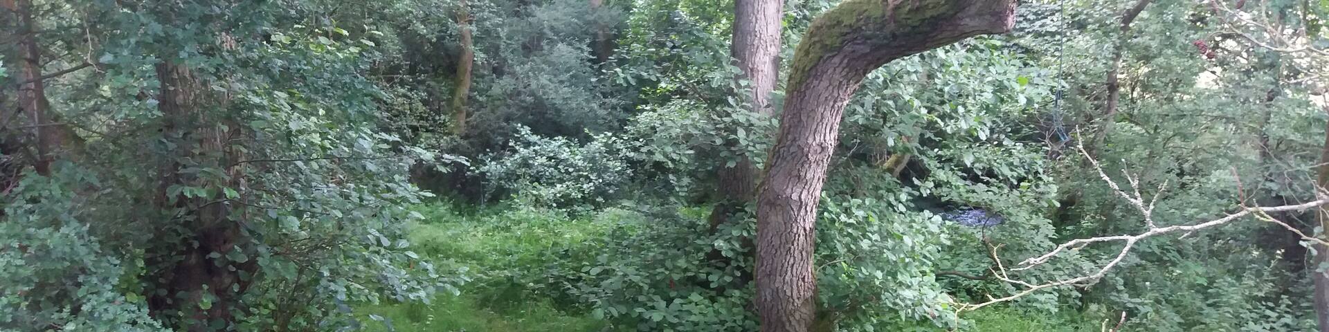 Ffynnon Tegla's well, Llandegla, Denbighshire, Wales. Celtic. Saint Tegla.
