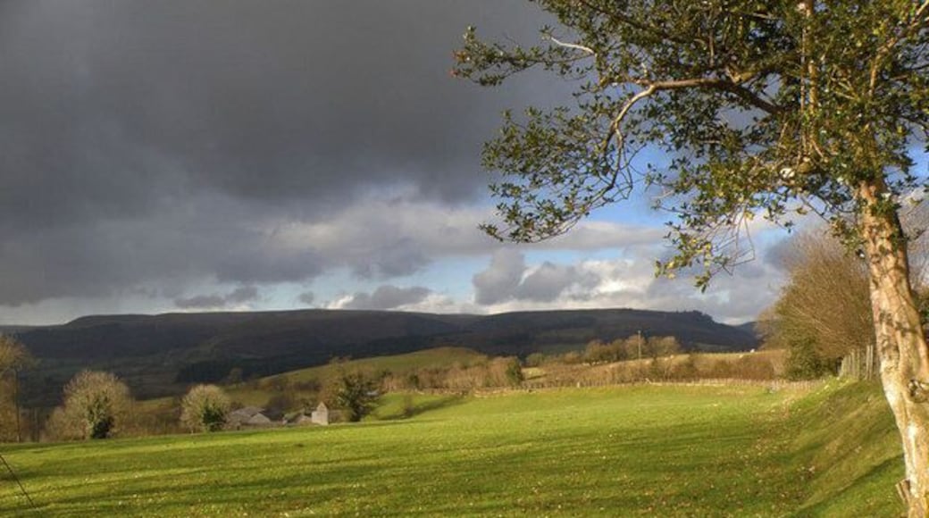 Farmland in the Towy Valley