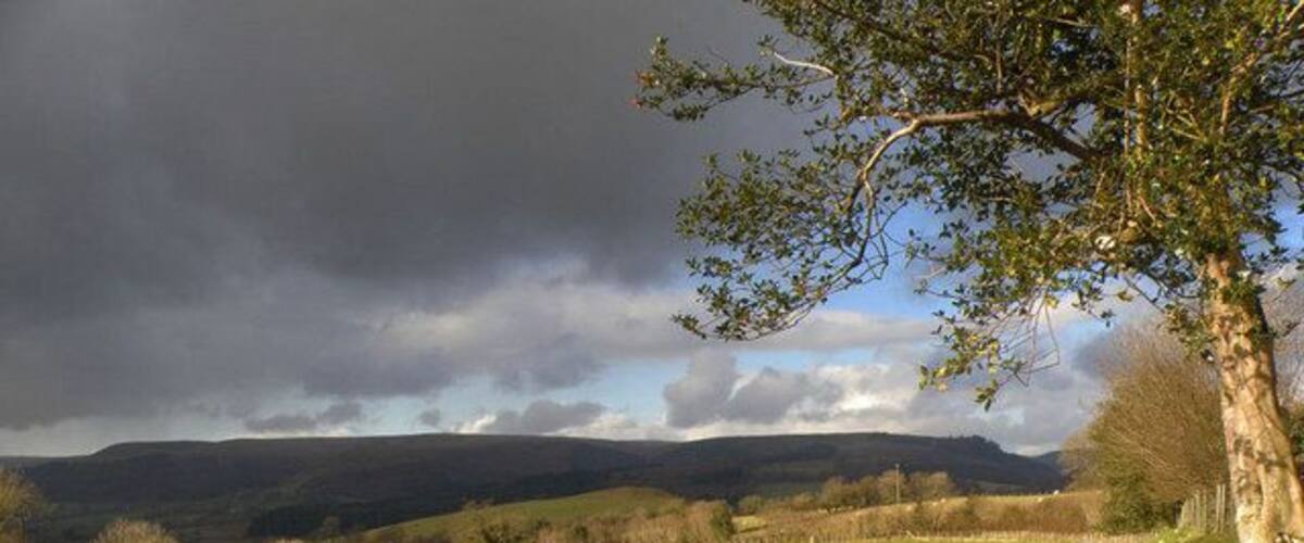 Farmland in the Towy Valley