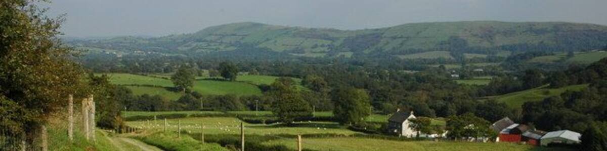 Track in Cwm Dunant Track descending into Cwm Dunant, the farm in the valley is also named Cwmdunant.