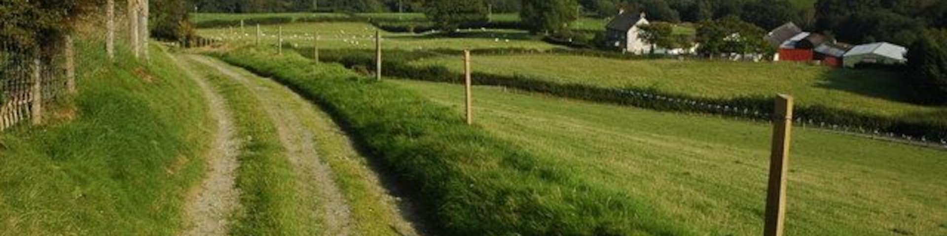 Track in Cwm Dunant Track descending into Cwm Dunant, the farm in the valley is also named Cwmdunant.