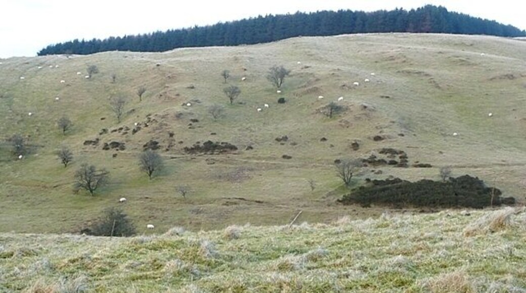 Below Dixie's Corner This rough grazing in the training area contains the headwaters of the Nant y Dresglen. This road is not often open to the public but a motor rally was taking place there this weekend.
