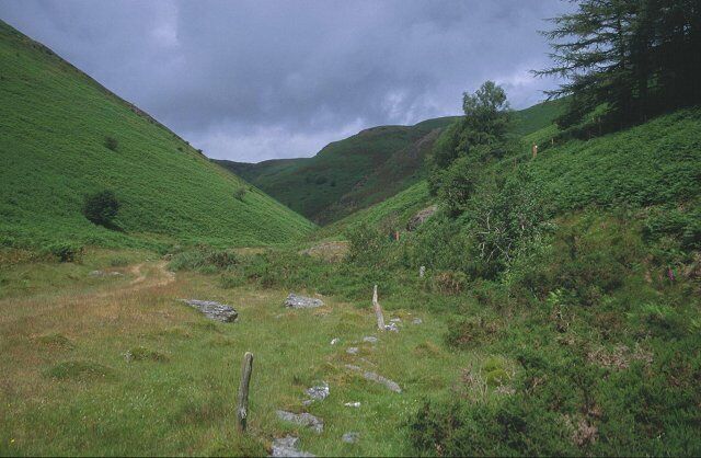 Cwm Gwenlais. Looking up the valley of the Afon Gwenlais, unfortunately bracken choked.