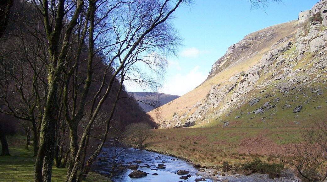 RSPB Nature reserve Gwenffrwd -Dinas Part of the best walk in a RSPB nature reserve