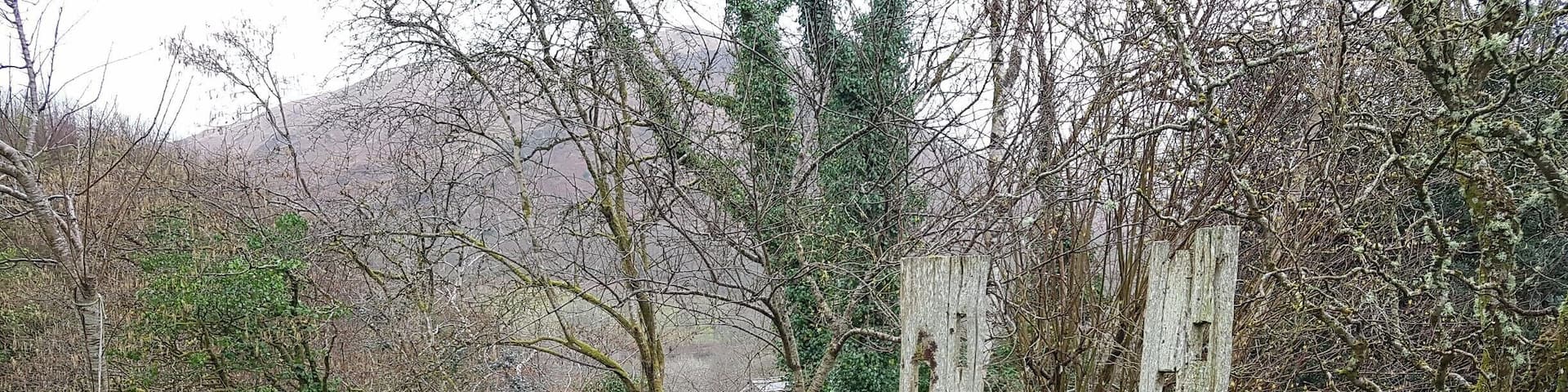 This was the view from our Llandovery cottage, just north of the Brecon Beacons in Wales. I have no idea how old they are, but I'm pretty sure they belong in some form of fairytale. #lifeatexpedia