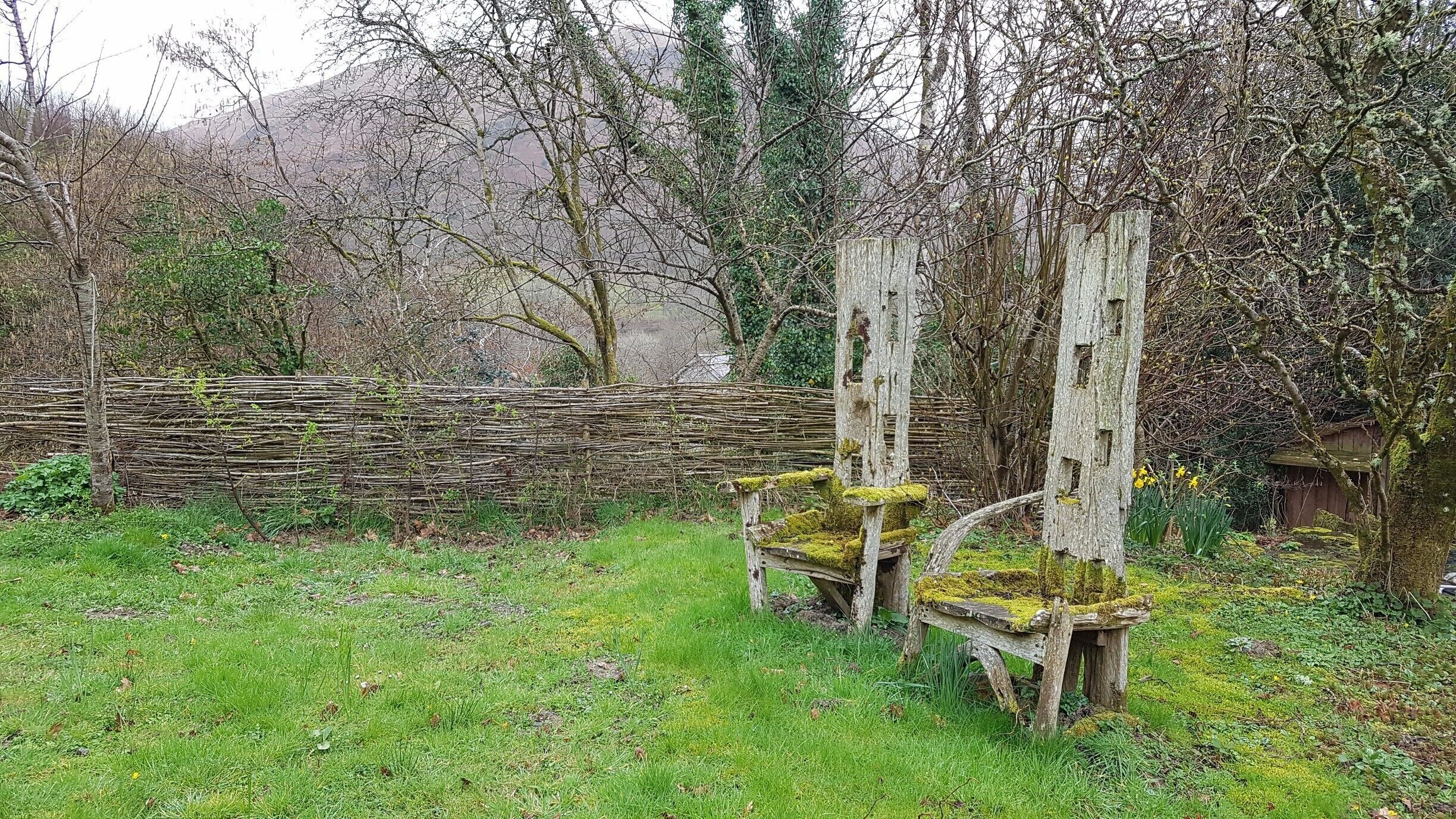 A rustic garden with a wooden fence, moss-covered chairs, and a backdrop of leafless trees and a mountain.