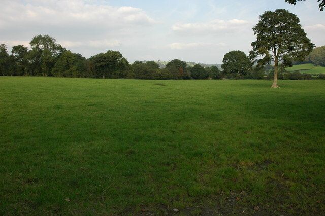 Um campo gramado com uma árvore em primeiro plano e uma fileira de árvores ao fundo.