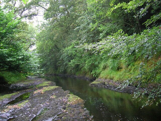 Afon Tywi (River Towy) The Tywi narrows here into a series of rocky channels. Fishing rights for sewin and salmon are controlled by The Prince Albert Angling Association based in Macclesfield, Cheshire.