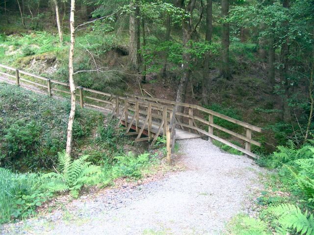 Footbridge over Nant Rhaeadr This is part of the "blue route" waterfall walk which takes several different routes up the river.