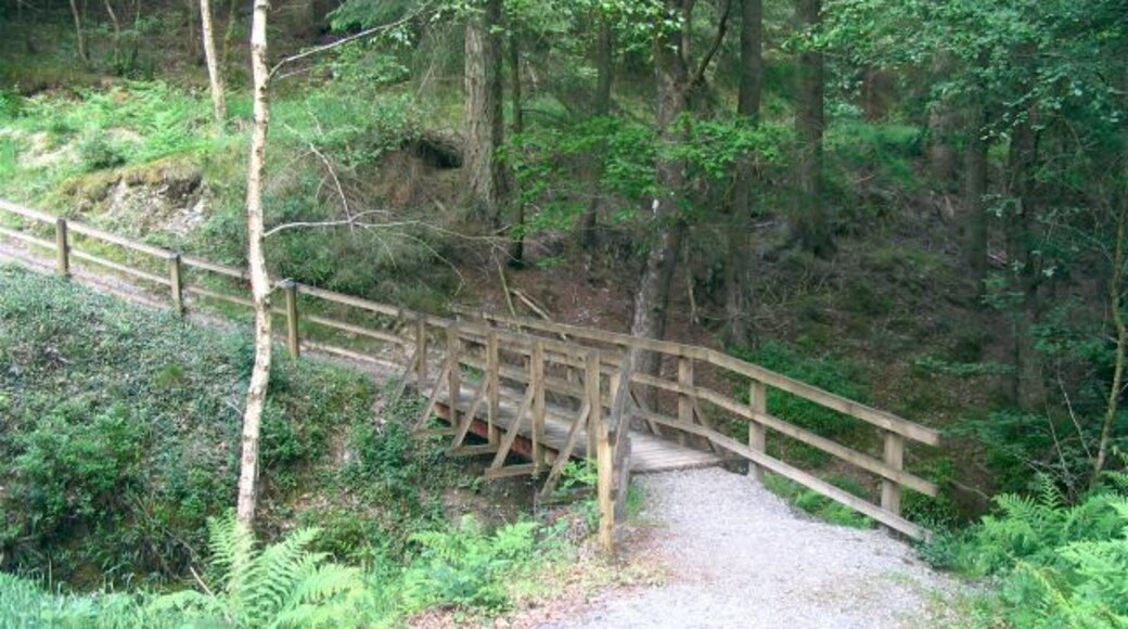 Footbridge over Nant Rhaeadr This is part of the "blue route" waterfall walk which takes several different routes up the river.