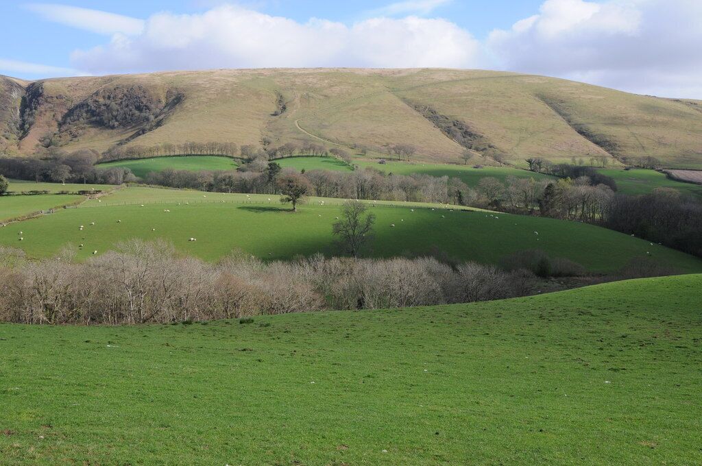 View to Mynydd Myddfai