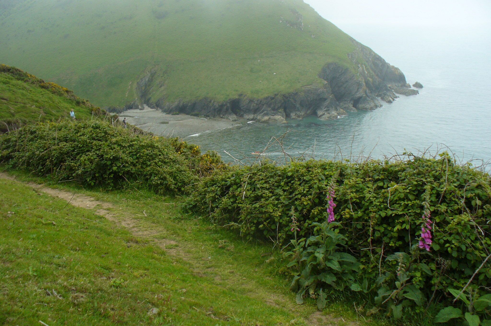 Coastal Path, Cwmtydu Coastal Path leading to the beach at Cwmtydu