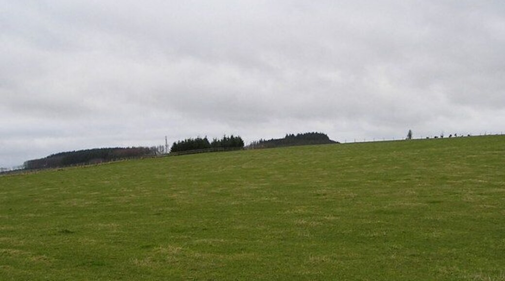 Upland Scene Across the sheep-nibbled turf of this field can be seen a coniferous plantation and a telecommunications mast situated at one of the highest points in the area, about 314 metres above sea level. You could link this photo with the one of the mast in SN3749 that I took previously. ***