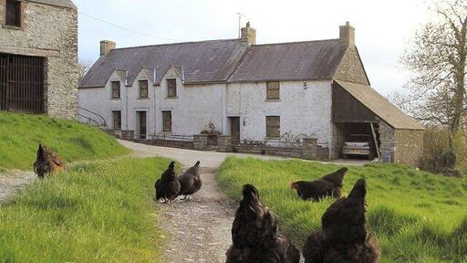 Llwynffynnon Uchaf farmhouse, built in 1773 and extended on right in 1900.