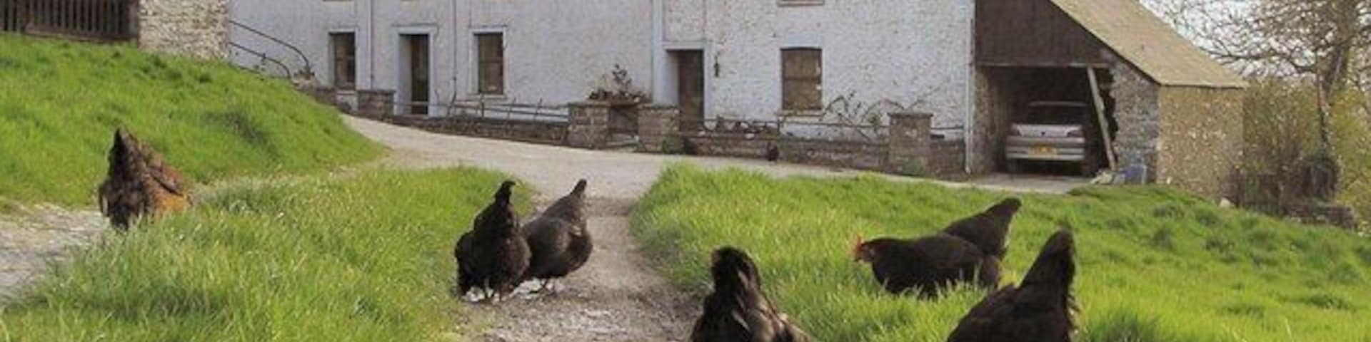 Llwynffynnon Uchaf farmhouse, built in 1773 and extended on right in 1900.