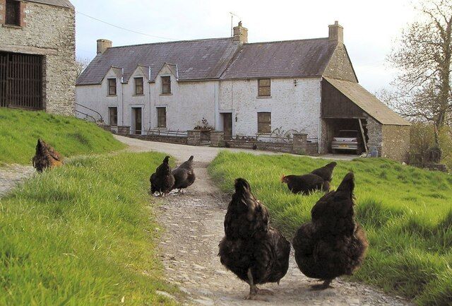 A rural path leading to a white house with a sloped roof.