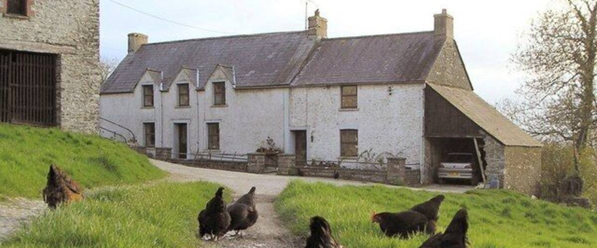 A rural path leading to a white house with a sloped roof.