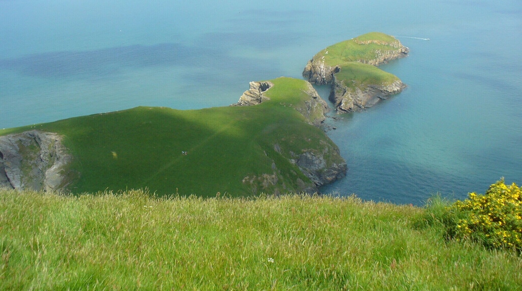 Ynys-Lochytn from hill fort above it Ynys-Lochytn taken from the ancient hill fort (Pen-Dinas-Lochtyn) above it.