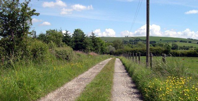 A rural dirt road flanked by green fields and trees under a clear sky.