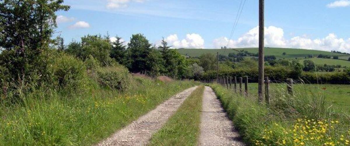 A rural dirt road flanked by green fields and trees under a clear sky.
