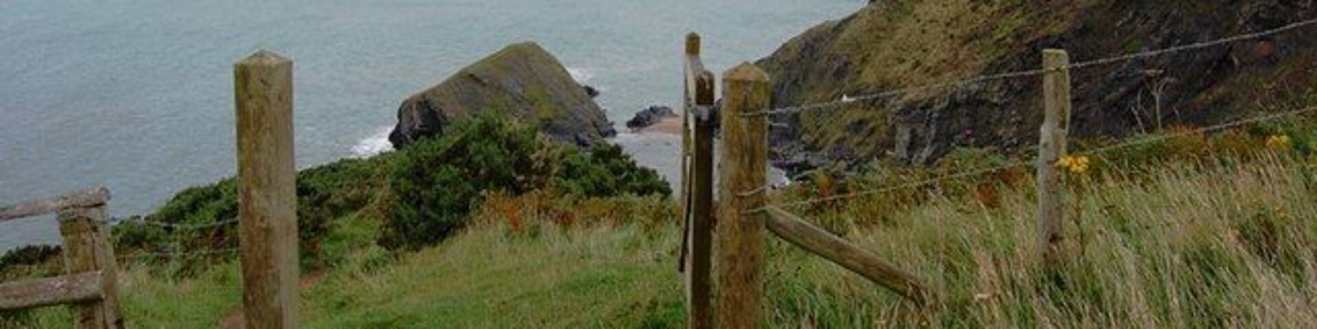 A coastal landscape with a wooden fence, grassy hill, and rocky outcrops.