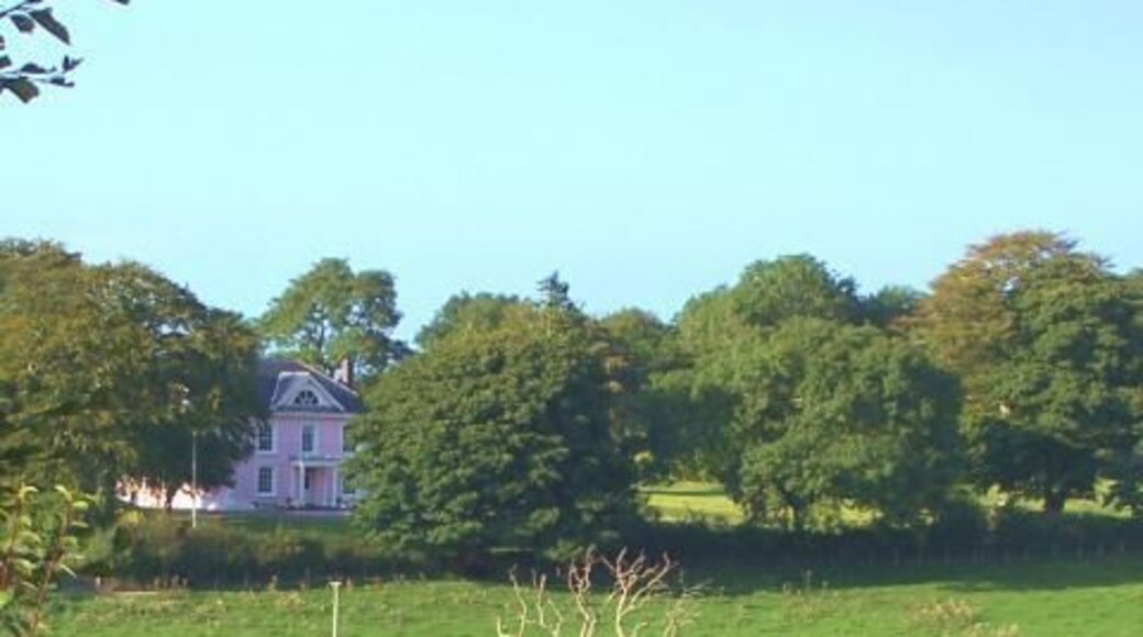 Tree in Lake. View of Wervil Grange Farm with tree in lake