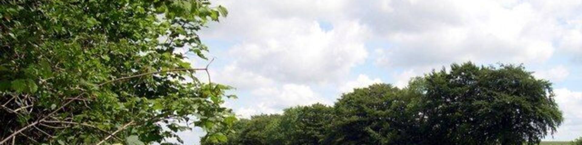 Footpath opposite school