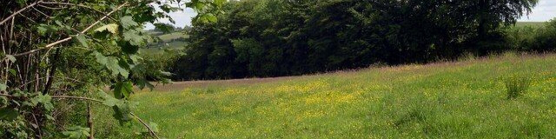 Footpath opposite school