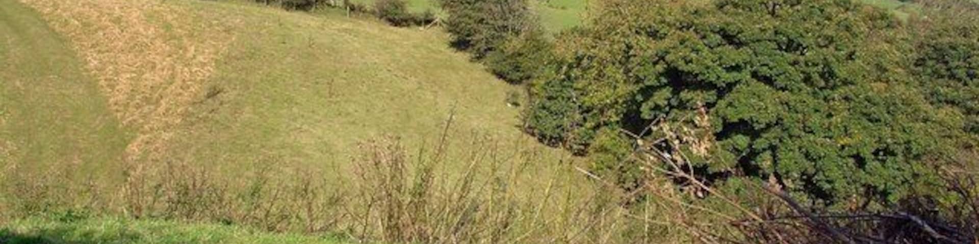 Small valley near Bargoed, Llandysul