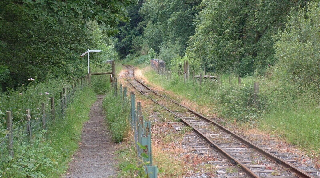 Track at the Teifi Valley Railway