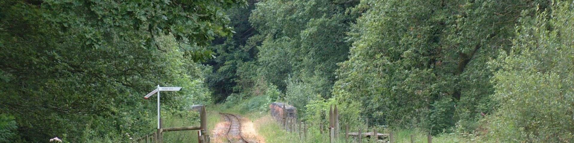 Track at the Teifi Valley Railway