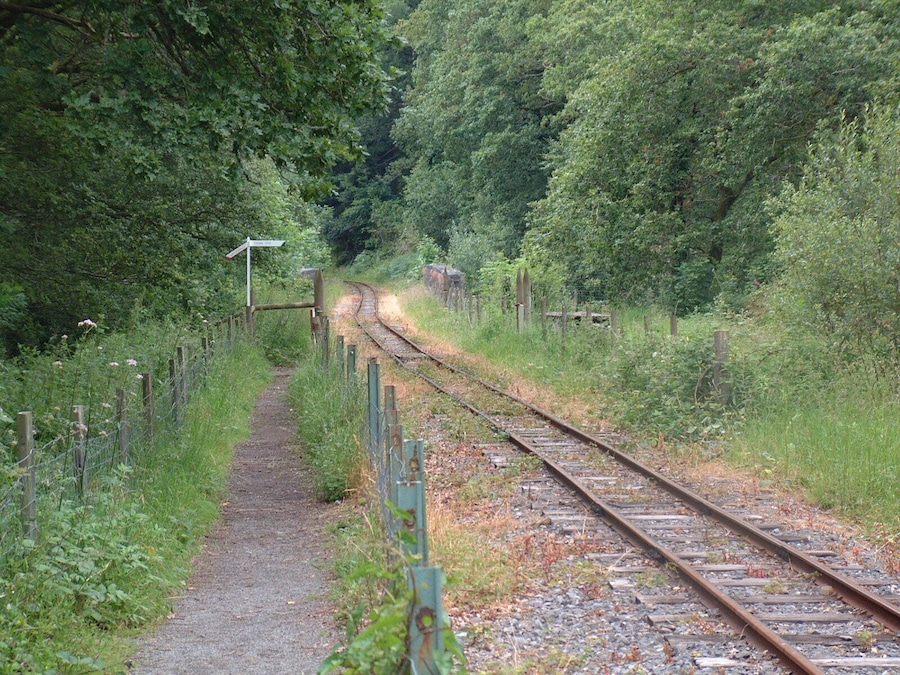 Track at the Teifi Valley Railway