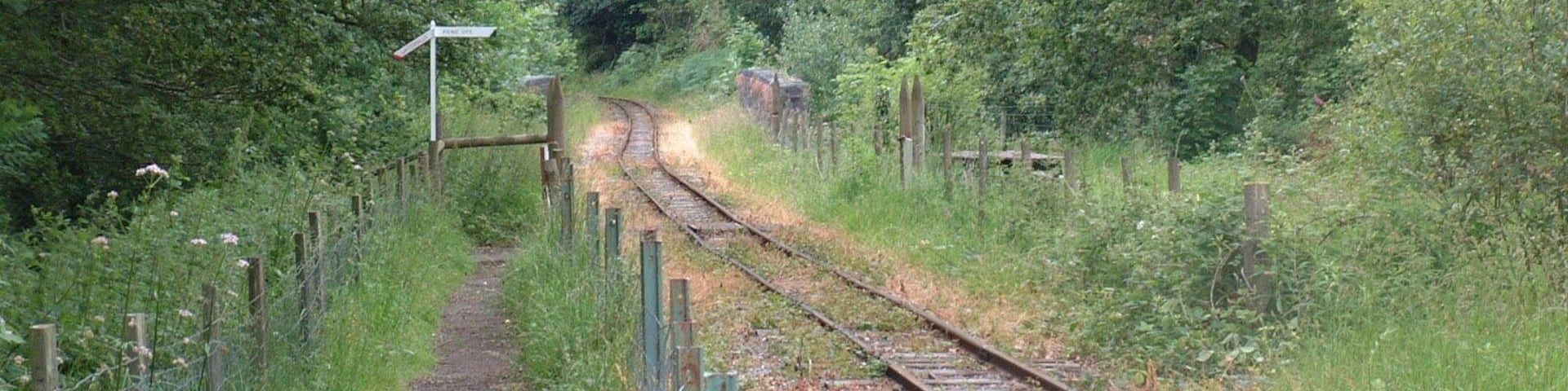 Track at the Teifi Valley Railway