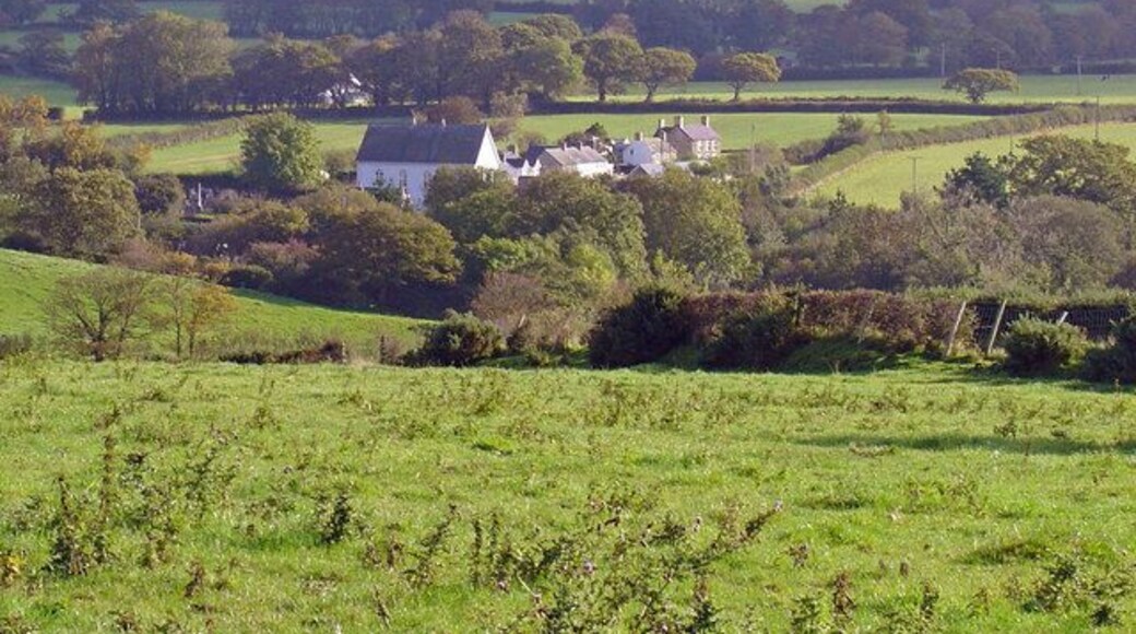 Rough pasture near Pantseiri, Betws Ifan Glynarthen Chapel is beyond.