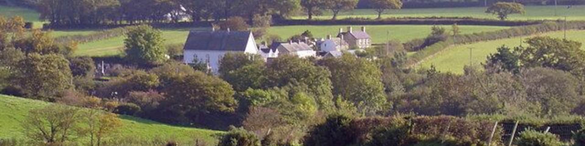 Rough pasture near Pantseiri, Betws Ifan Glynarthen Chapel is beyond.