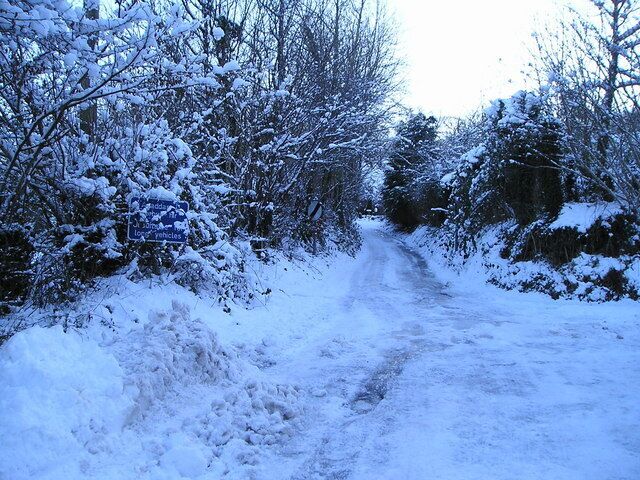 Uma estrada rural coberta de neve, ladeada por árvores e arbustos.