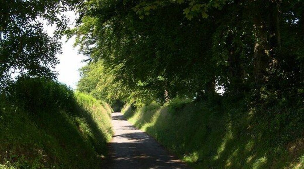 Country road near Rhydowen