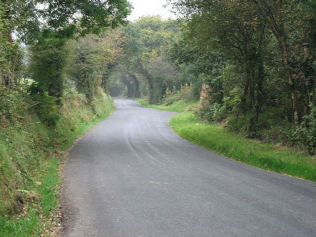 Passing old woodland en route to Rhydlewis A gradual descent towards a major village in the area, this road passed along a long wood on the right hand side.