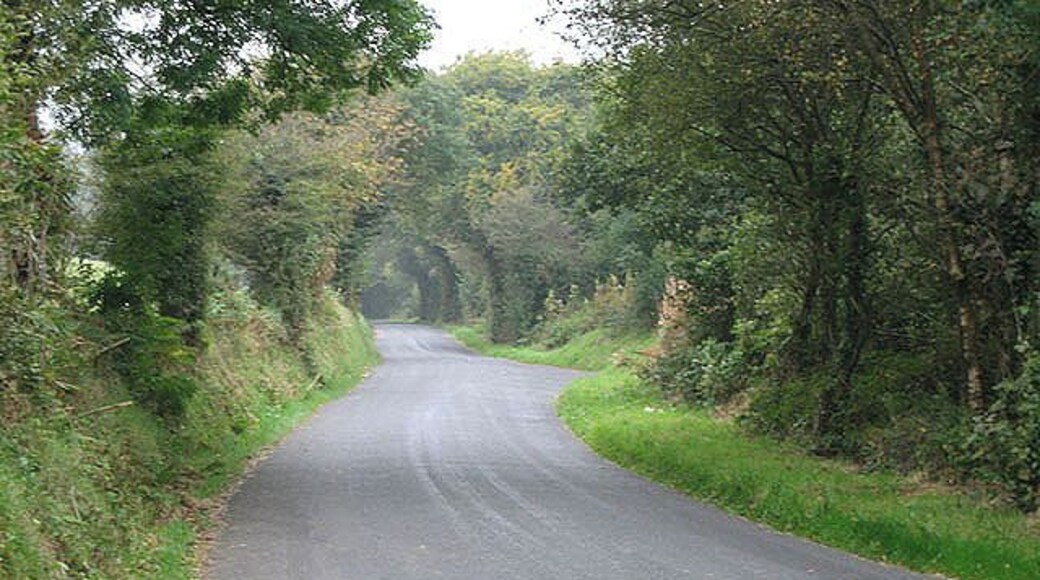 Passing old woodland en route to Rhydlewis A gradual descent towards a major village in the area, this road passed along a long wood on the right hand side.