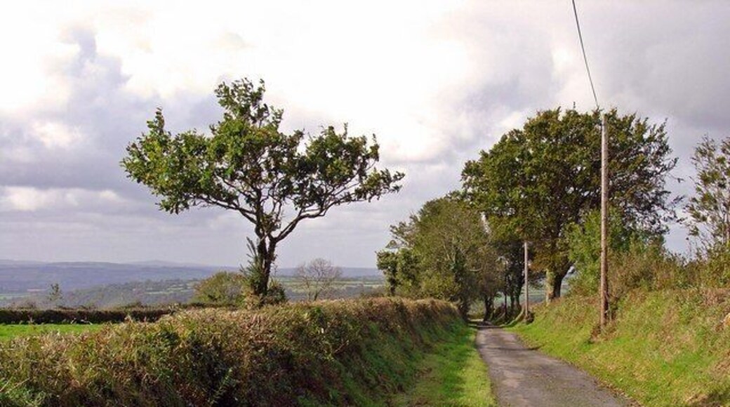 Lane near Argoed, Llanfair Treflygen