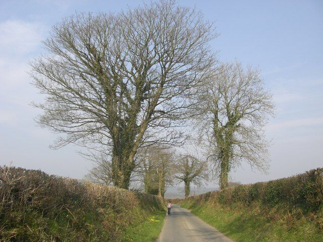 Country Lane A Welsh country lane near to Drefach Velindre.