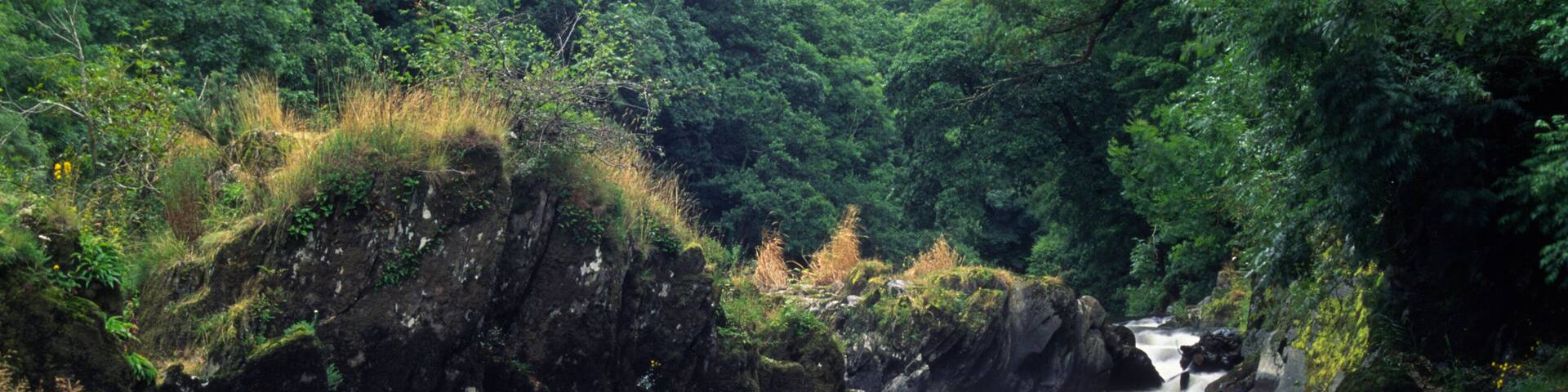 Wales, Ceredigion, Llandysul, River Teifi